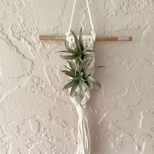 Wall Hanger Art Hand Crafted Boho Air Plant Floral Cotton Macrame Dorm Decor